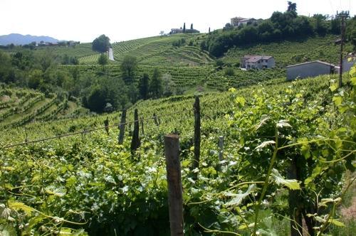 B&B Alla Pergola Валдобиадене Екстериор снимка